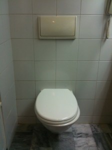 china toilet