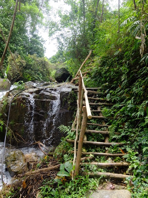 steps waterfall